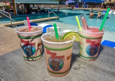 dog day drinks poolside
